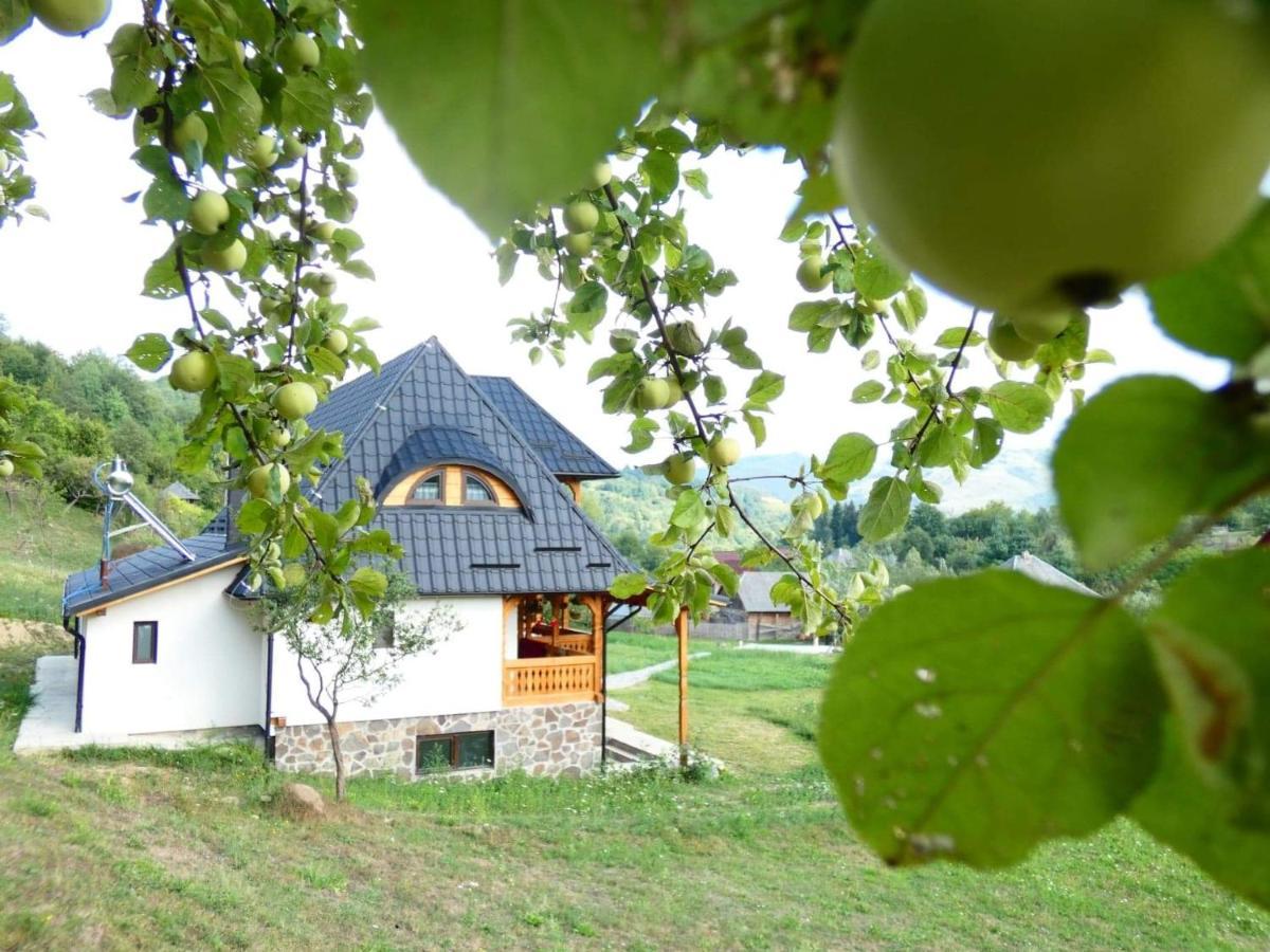 Pensiunea Ancuta Din Botiza Exterior photo